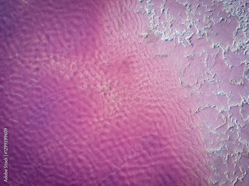 pink lake in the goldfields of esperance western australia