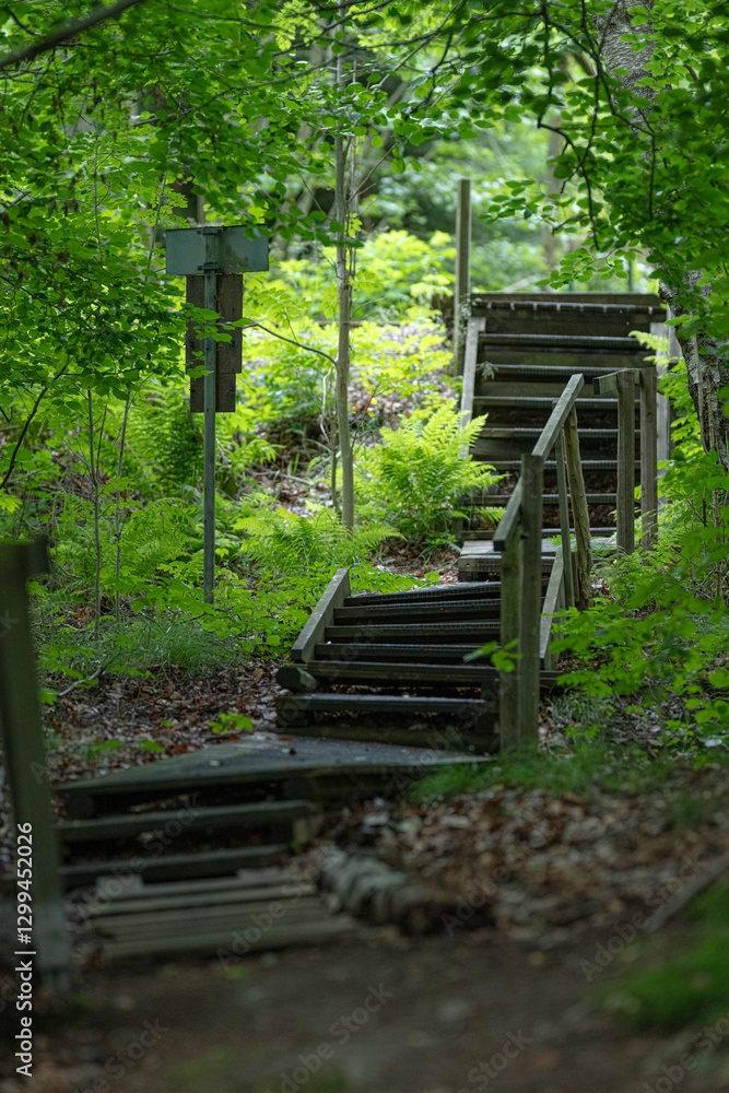 Wooden stairs down a narrow and steep slope in a forest. Wooden stairs down a narrow and steep slope in a forest.