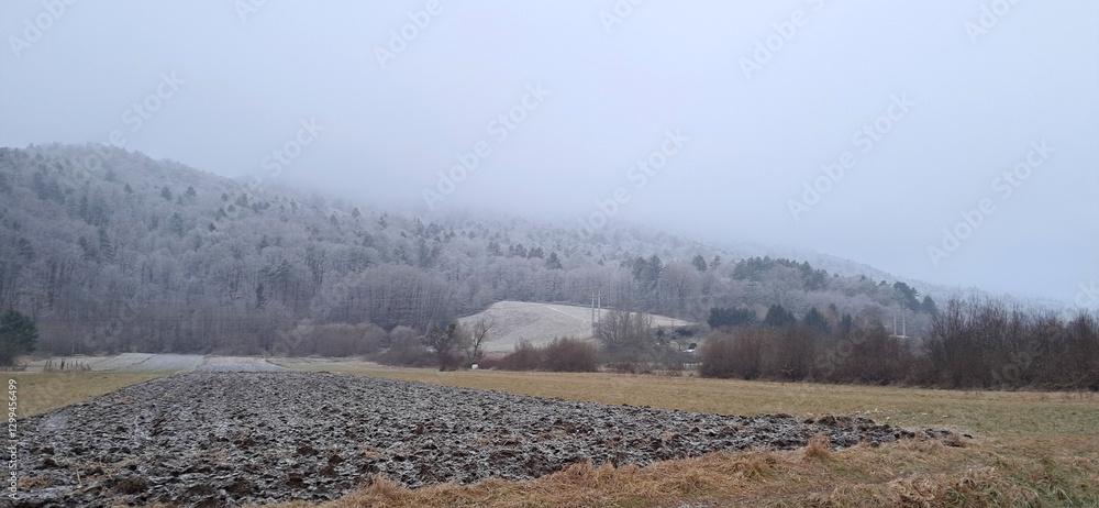 cold weather. Gray fog on Pohorje slope. Trees under frost. Slovenia. Europe