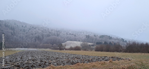 Obraz na płótnie cold weather. Gray fog on Pohorje slope. Trees under frost. Slovenia. Europe w salonie