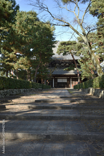 Wallpaper Mural 相国寺　松に囲まれる法堂【重要文化財】 Torontodigital.ca