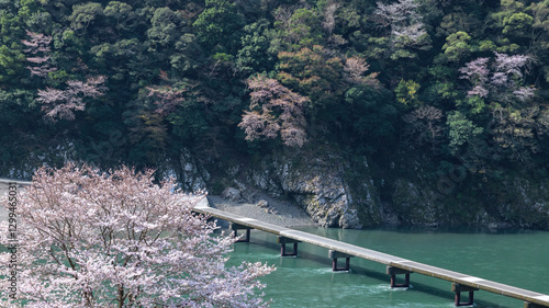 春の岩間沈下橋