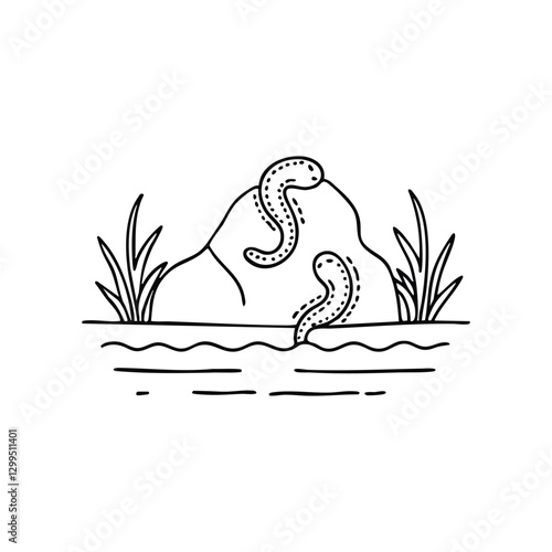 Leech attached to a submerged rock in a shallow river