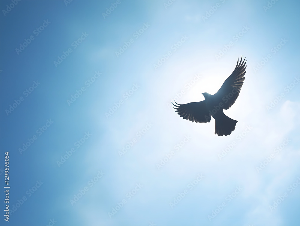 Obraz premium Majestic Raptor Soars Gracefully in the Sky: A Silhouetted Flying Bird Celebrating Freedom and Nature's Beauty at Sunset