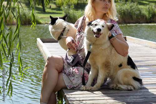 Wallpaper Mural Owner plays with a siberian laika dogs in autumn park. Friendship of a dog and a woman Torontodigital.ca