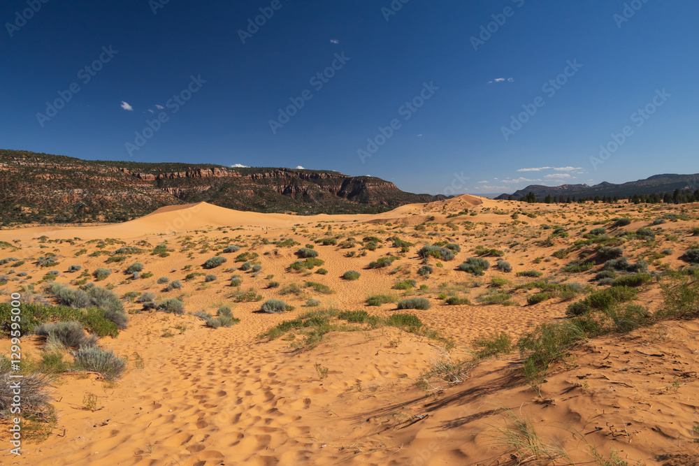 Coral Pink Sand Dunes state park, Utah Coral Pink Sand Dunes state park, Utah