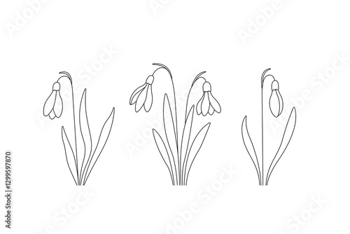 Snowdrop spring flower black line elements, set of hand drawn snowdrops, botanical floral linear design, editable stroke vector illustration