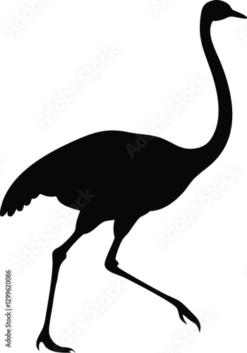 Silhouette of an Ostrich – Elegant Outline of Nature's Fastest Running Bird in Black and White vector isolated on white background. 