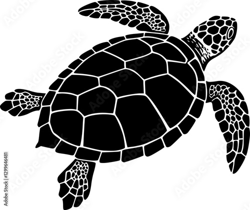 turtle top view silhouette on white background vector
