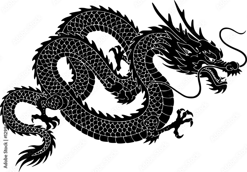 Chinese dragon silhouette on white background, vector
Chinese dragon silhouette on white background, vector