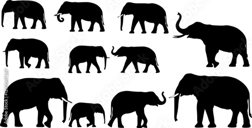 elephants collection, set silhouette on white background vector
