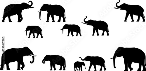 elephants collection, set silhouette on white background vector
