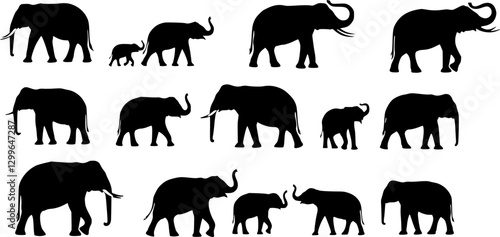 elephants collection, set silhouette on white background vector
