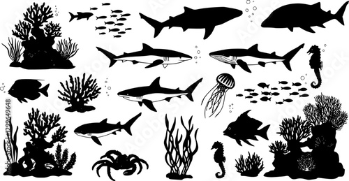 sea animals, fish, algae set silhouette ,on white background, vector
