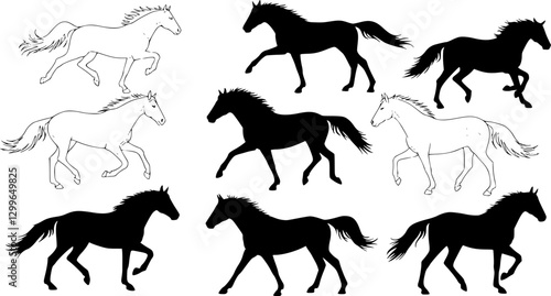 silhouette horse running, collection

