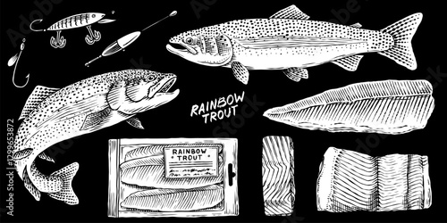 Rainbow trout collection with fish package and chunk of meat.River fishing elements and filet, salmon or other sea food fishing tackle and hook, bobber 