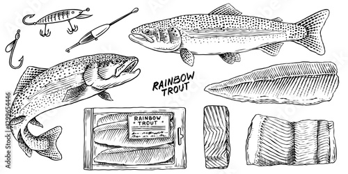 Rainbow trout collection with fish package and chunk of meat.River fishing elements and filet, salmon or other sea food fishing tackle and hook, bobber 