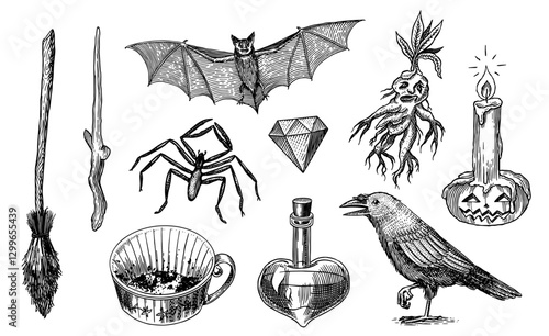 Bar crow and mandrakes, crow, pumpkin, broom wand wizardry elements for magic rituals or tarot deck, Halloween different witchcraft and sorcery things magician and voodoo hand drawn engraved