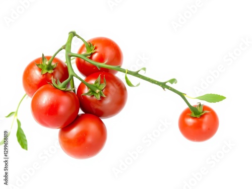 Wallpaper Mural Fresh ripe tomatoes on a branch being sprayed with water against a white background, isolated, ingredient Torontodigital.ca