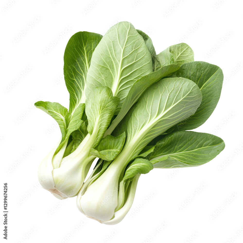 fresh green bok choy isolated on white or transparent background 