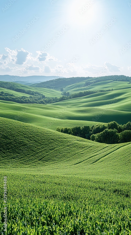 Fototapeta premium Sunny rolling hills landscape, farmland, nature