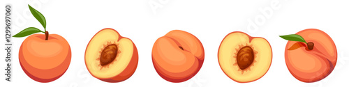 Peaches isolated on a white background. Set of vector illustrations