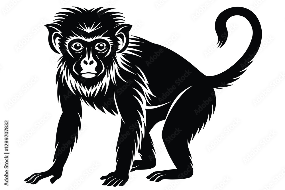 Obraz premium black and white Monkey silhouette
