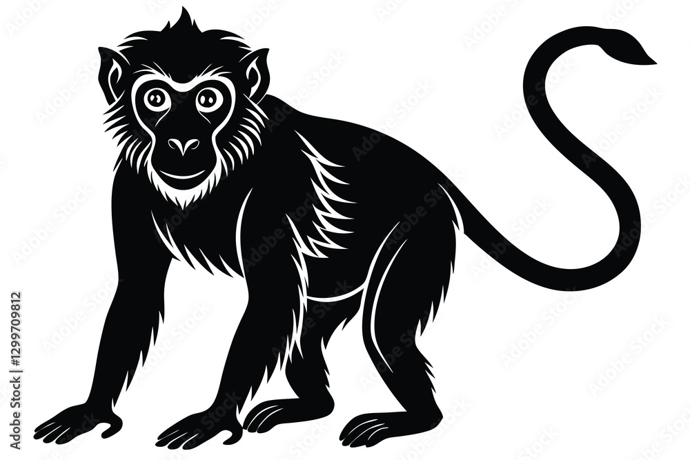 Obraz premium monkey silhouette