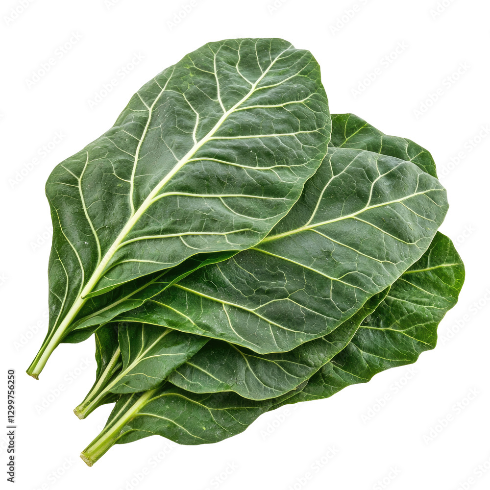 Obraz premium Fresh Green Collard Greens Leaves Stacked on a Clean White Background Perfect for Healthy Cooking and Nutrition Themes