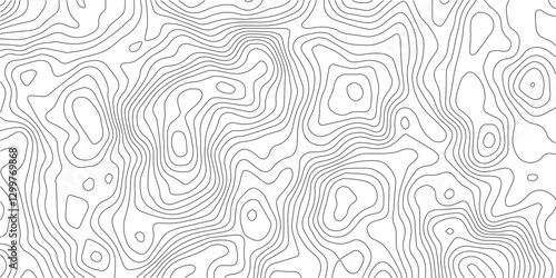 Abstract topographic contours map background .Topographic background and texture, monochrome image. Topography and geography map grid abstract backdrop. Business concept. Topography map concept.

