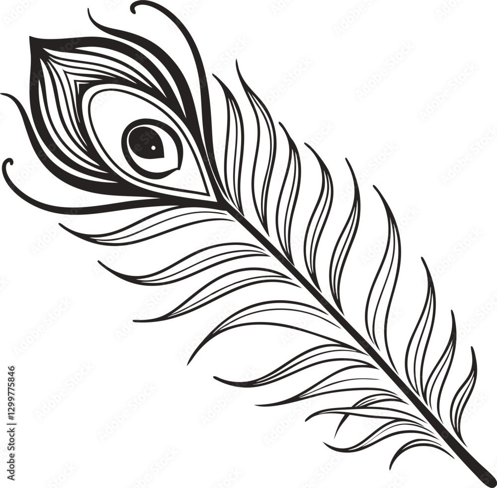 Graceful Peacock Feather Silhouette. Graceful Peacock Feather Silhouette.