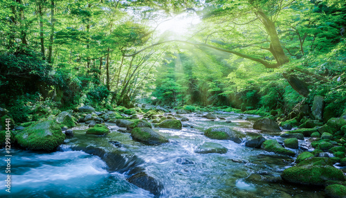 日本の緑あふれる森林の山中　流れる川・清流の流れと差し込む太陽の日差しの背景　苔むした岩肌・夏春の季節の自然の風景 photo