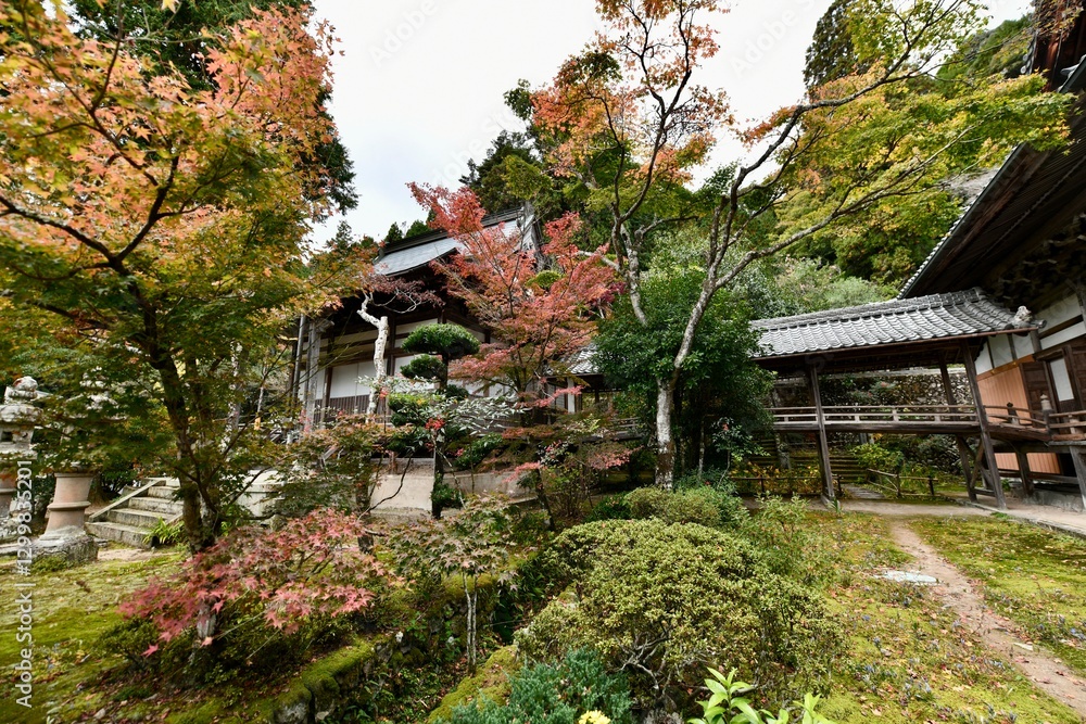 姫路の日本一の布袋さんがある夢前七福神第一番札所の通宝山弥勒寺の布袋さん