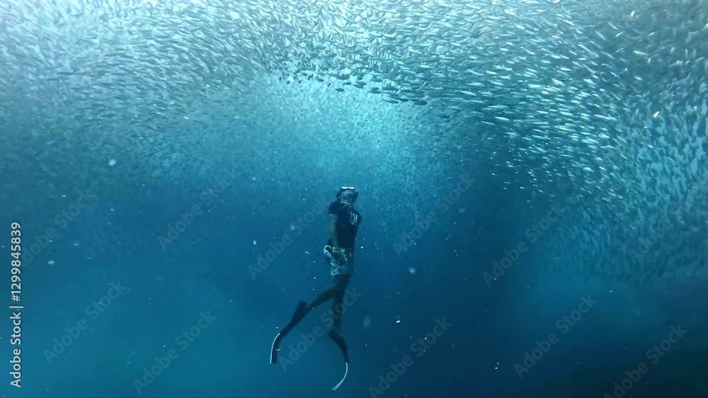 Freediver swims by school of sardines, Moalboal Philippines. snorkeling and scuba diving tourist destination. 
