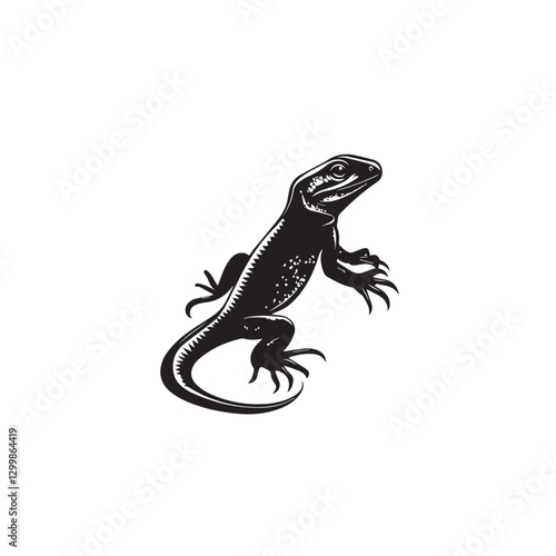 lizard on white background