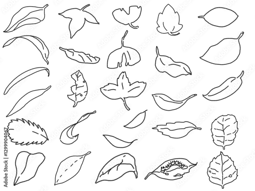 Obraz premium Clip art set of leaf