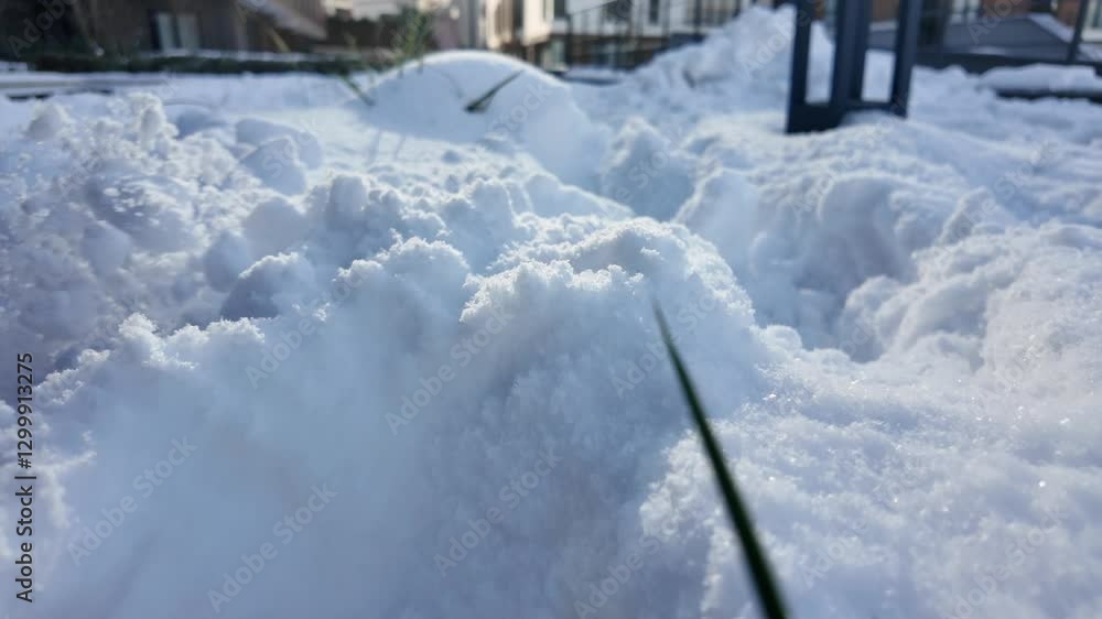 Winter landscape captures fresh snow blanketing the ground in city Winter landscape captures fresh snow blanketing the ground in city