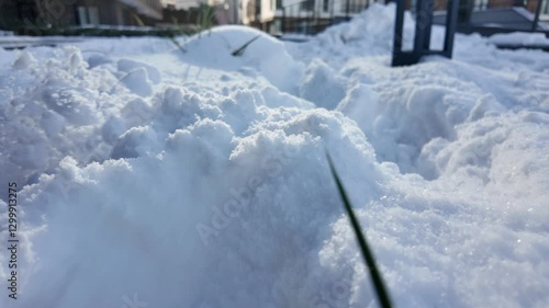 Wallpaper Mural Winter landscape captures fresh snow blanketing the ground in city Torontodigital.ca