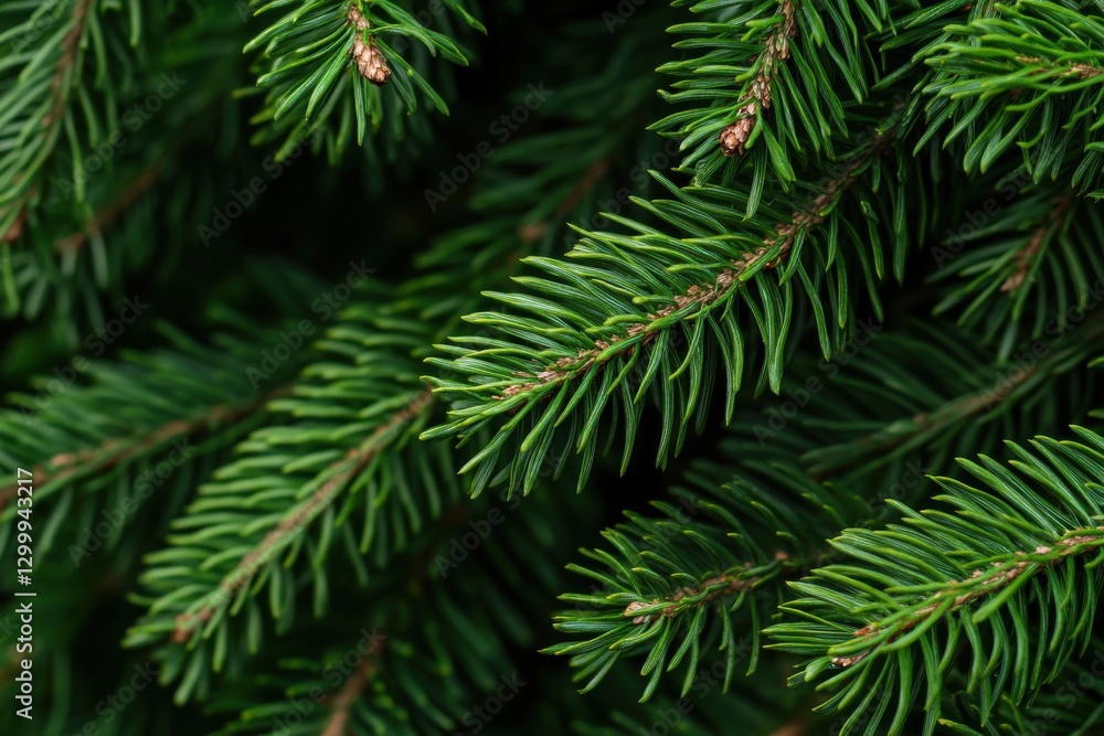 Aesthetic close-up of lush pine needles for winter holiday decor inspiration and natural festive ambiance Aesthetic close-up of lush pine needles for winter holiday decor inspiration and natural festive ambiance