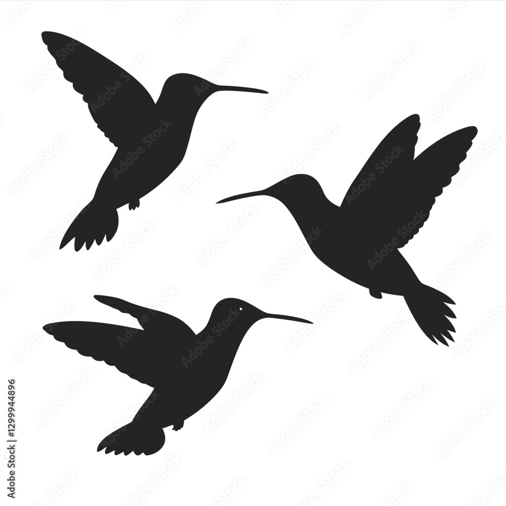 Obraz premium Hummingbirds Silhouette vector illustration