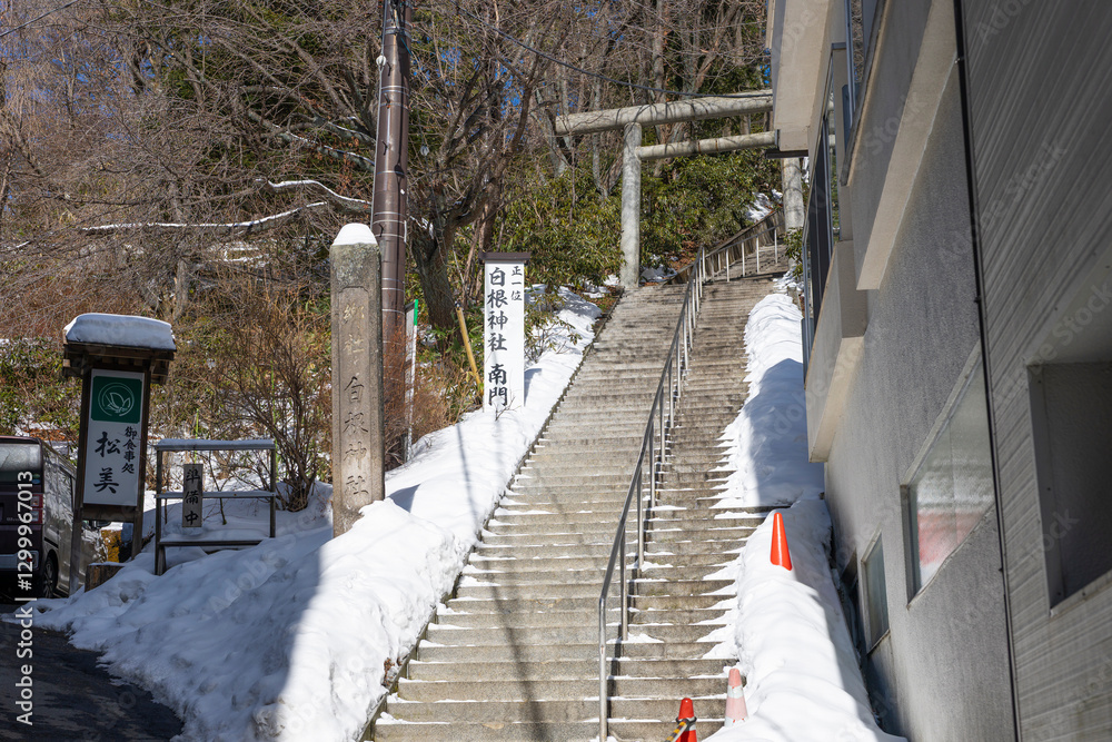 Fototapeta premium 草津温泉の白根神社