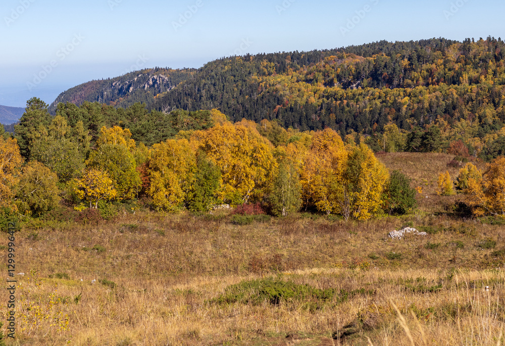 autumn, the morning light of the rising sun illuminates the alpine meadows and the slopes of the mountain range autumn, the morning light of the rising sun illuminates the alpine meadows and the slopes of the mountain range