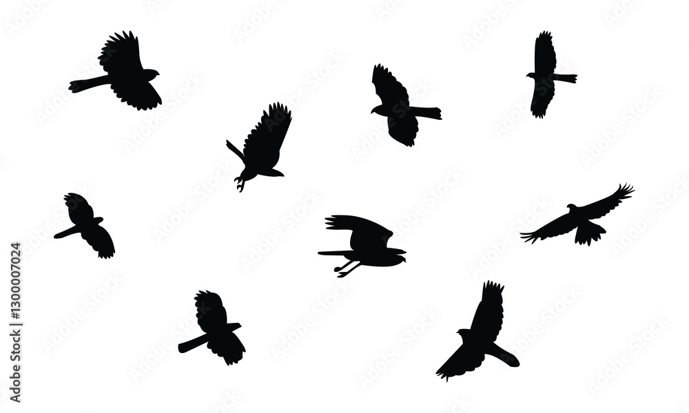 Naklejka premium Flying African goshawk bird Silhouette Design And Vector Illustration. 