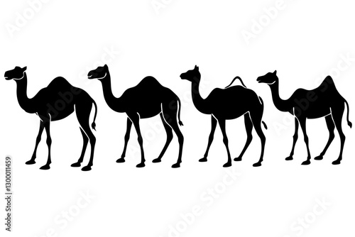 Photography set of Camel Silhouette vector illustration