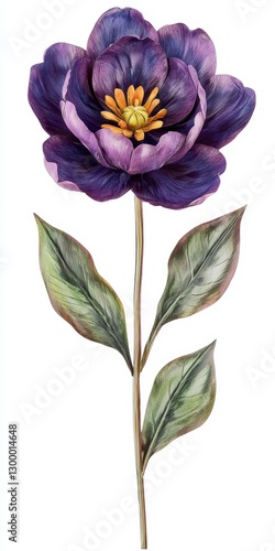 Dark Purple Watercolor Flower with Yellow Center and Green Leaves