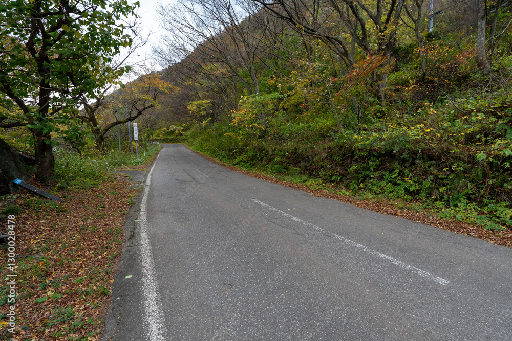 Obraz premium Historic old road “Salt Road” which is also a long distance hiking course and its surroundings