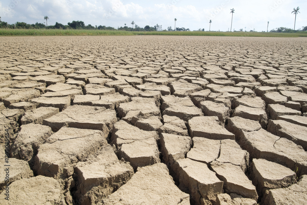 Extensive Cracked Earth Landscape Affected By Drought Extensive Cracked Earth Landscape Affected By Drought