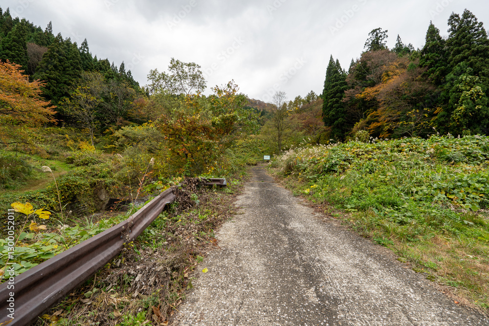 Historic old road “Salt Road” which is also a long distance hiking course and its surroundings Historic old road “Salt Road” which is also a long distance hiking course and its surroundings