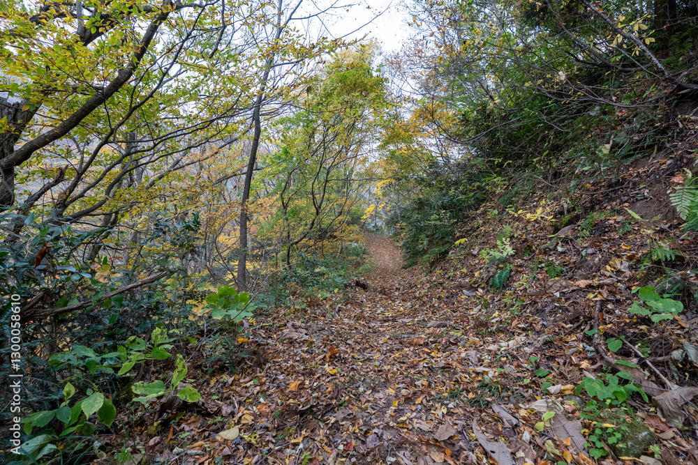 Fototapeta premium Historic old road “Salt Road” which is also a long distance hiking course and its surroundings