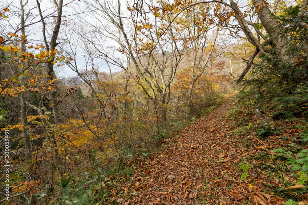 Obraz premium Historic old road “Salt Road” which is also a long distance hiking course and its surroundings